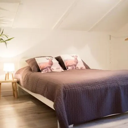 Апартаменты Agapella Apartamenty- Apartament Centrum Fitzcarraldo Сопот